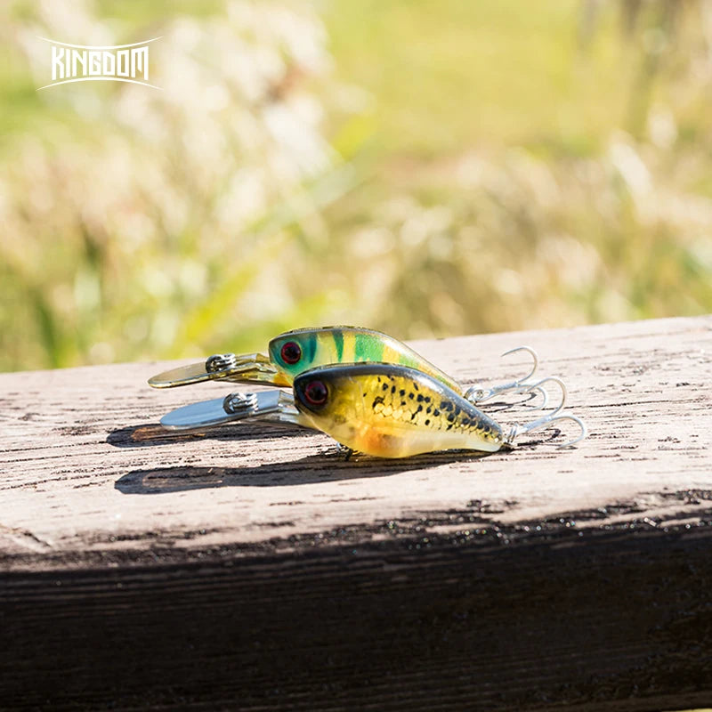 Slow Sinking Crankbait (5-10' Depth) - Duke's Fishing Supply