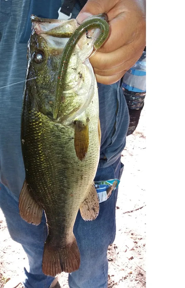 Senko Soft Plastic Worm (5.1") - Duke's Fishing Supply