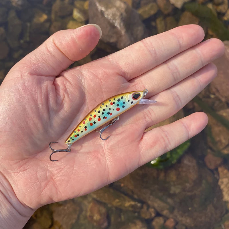 Sinking Minnow Jerkbait (2.5") - Duke's Fishing Supply