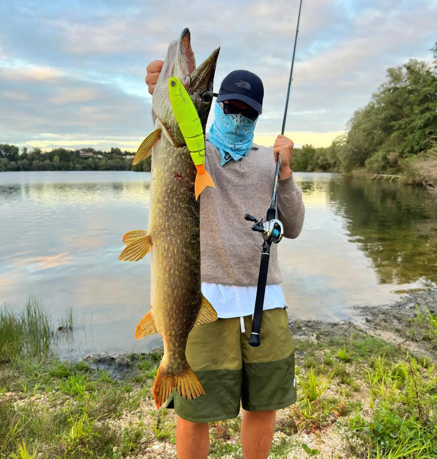Floating & Sinking Jointed Swimbait - Duke's Fishing Supply