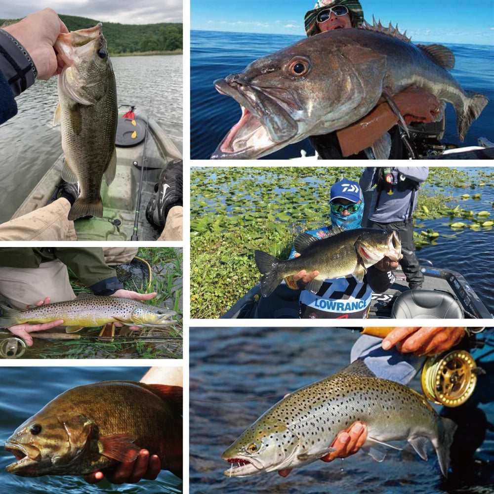 Premium Tungsten Bullet Sinker - Duke's Fishing Supply