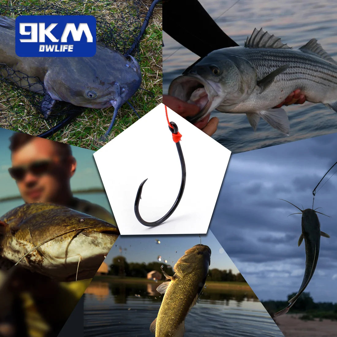 Inline Circle Hook (Various Sizes) - Duke's Fishing Supply