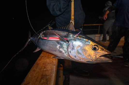 Night Time Jigging for Bluefin: The SoCal Charter Playbook