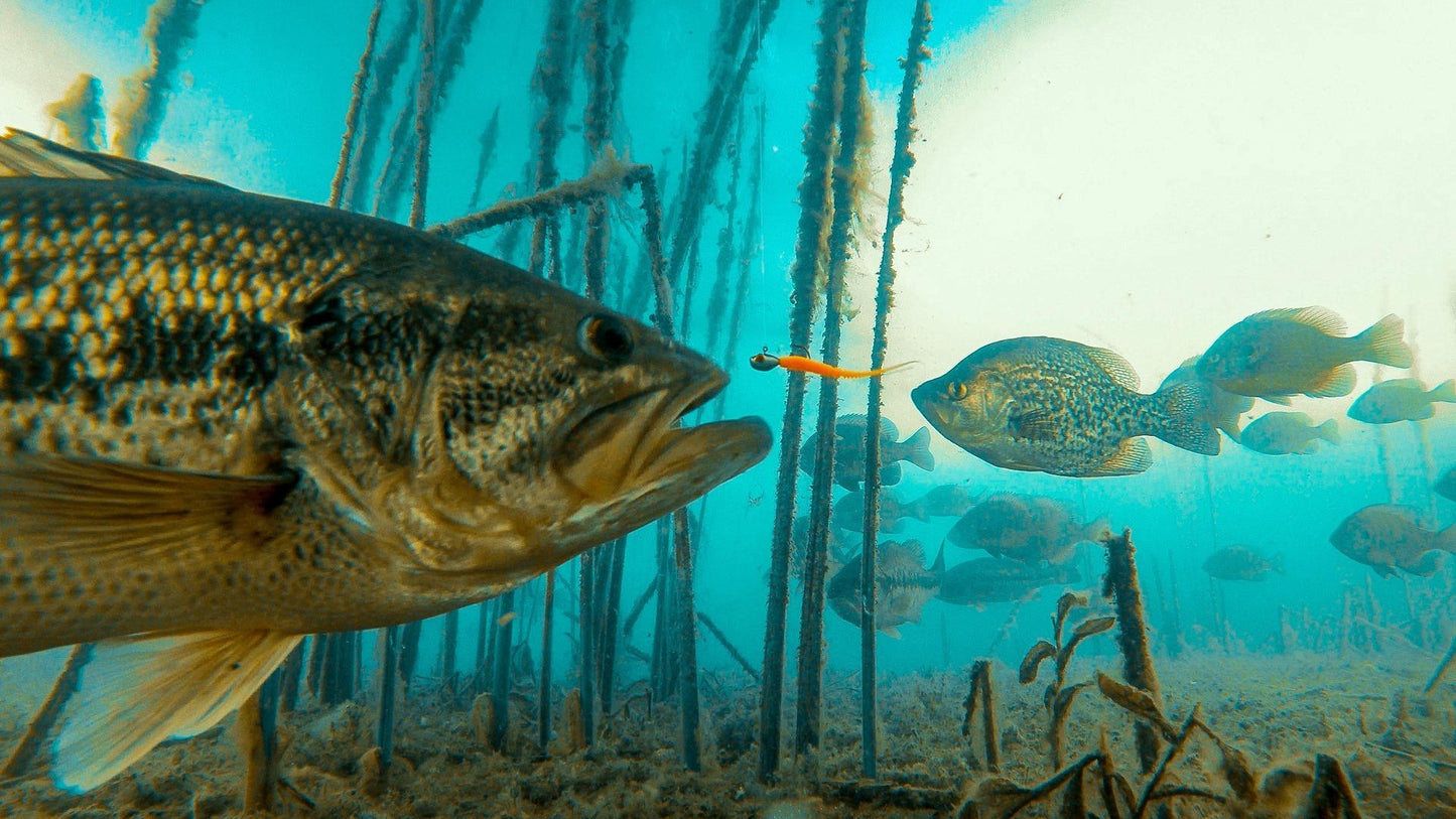 When Nothing Bites Bundle - Duke's Fishing Supply