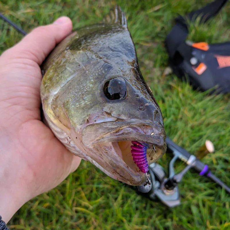 Soft Plastic Wormtail - Duke's Fishing Supply