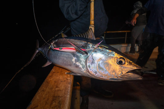 Ultimate Offshore Jigging Pack