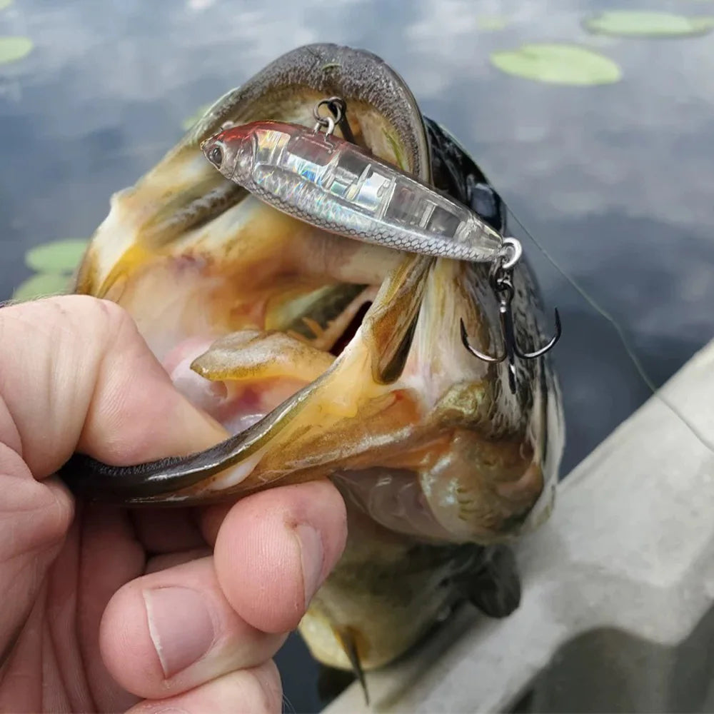 GOBAIT Floating Pencil Bait 17.5g 10cm Topwater Walk The Dog Fishing Lure 3D Swimbait Hook Popper Pesca Minnow Rattle Cranbait - Duke's Fishing Supply