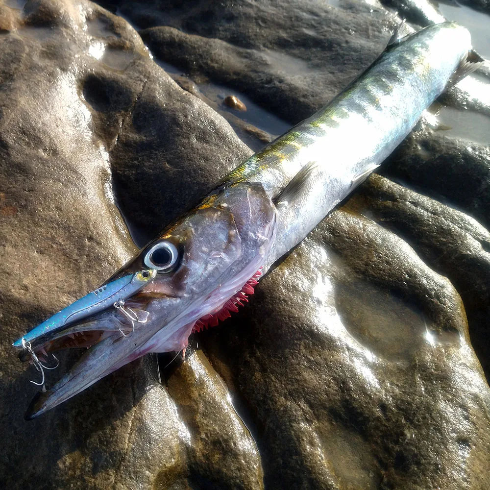 GOBAIT VIB Fishing Lure 20g 25g 30g Metal Jig Sinking Blade Hook Spinner Spoon Cast VIBRATION Carbon Steel Tackle Hard Bait - Duke's Fishing Supply