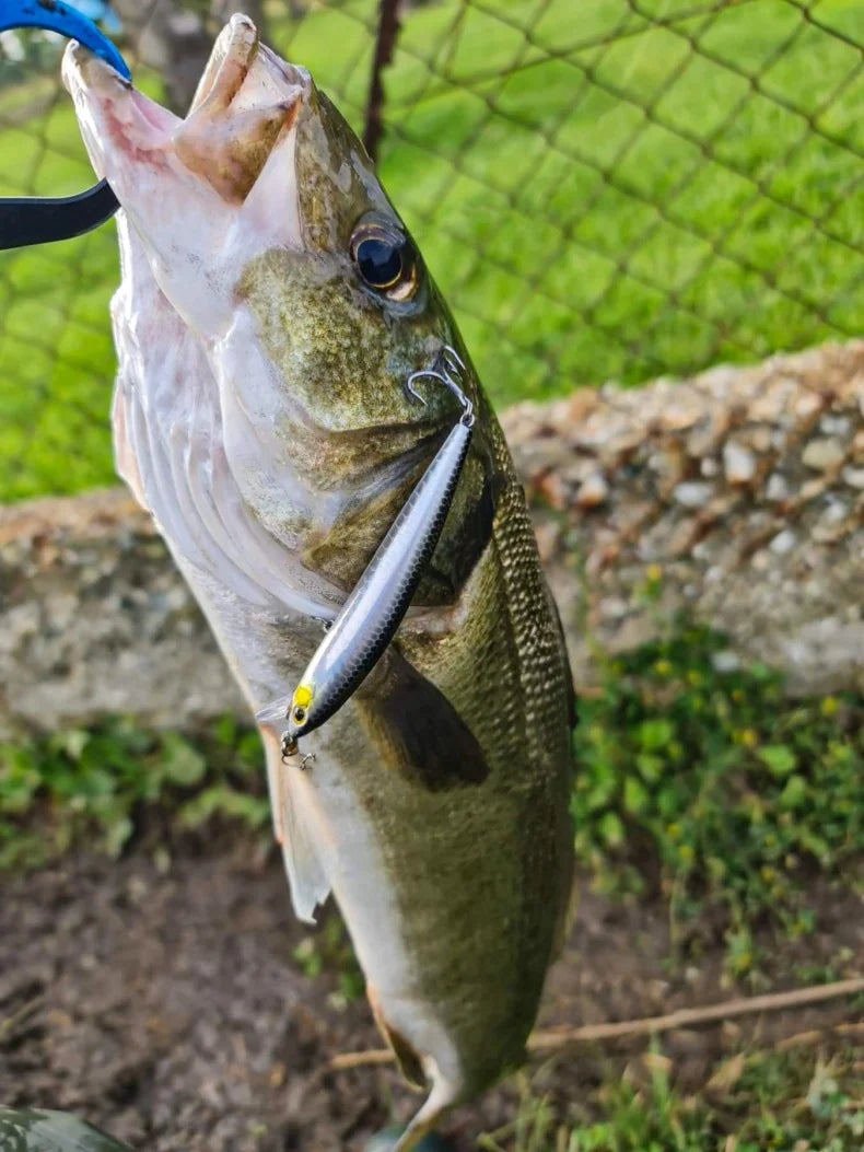 KINGDOM SP Shadow Fishing Lures 6.5g 9g 14g 14.2g Suspending Minnow Wobbler Crank Baits Artificial Sea Bass Pike Fishing Tackle - Duke's Fishing Supply