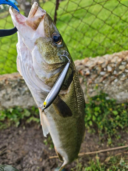 KINGDOM SP Shadow Fishing Lures 6.5g 9g 14g 14.2g Suspending Minnow Wobbler Crank Baits Artificial Sea Bass Pike Fishing Tackle - Duke's Fishing Supply